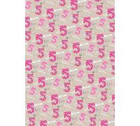 4 Sheets 4 Tags 5th Birthday Girl Hearts and Butterfly Design Wrapping Paper Age 5 Cute Attractive Birthday Pink Giftwrap Female (PA)