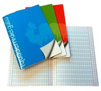 4 Special Exercise Books for dysgraphia and dyslexia, with 1 cm grid.