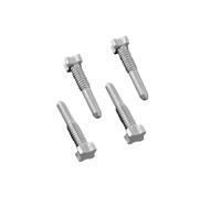 4 Star Screws Replacement for Watch Richard Mille Leather Rubber Band Strap Brushed Screw Silver (4 Star)