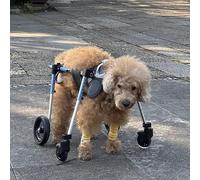 4-Wheel Dog Wheelchair for Small/Medium/Large Dogs Ideal for Arthritis Support Hind Leg Brace & ACL Recovery Durable Pet Mobility Aid (XX-Large)