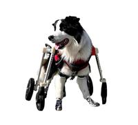 4 - Wheel Dog Wheelchair with All - Aluminum Frame - Tool - Free Adjust (Length/Width/Height), 4 - Wheel Support, Fits 5-60kg Pets (XS - XXL)(L)
