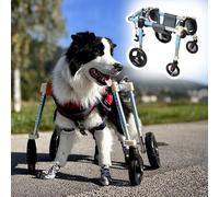 4 Wheels Dog Wheelchair, Adjustable Pet Mobility Aid for Front Back Legs, All Dogs Breed - Dog Full Support Assist Treadmill, for Disabled Handicapped Injured Lame(M)