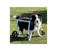 4 Wheels Pet Wheelchair For Front Back Legs, All Dog Breed Dog Full Support Assist Treadmill, Adjustable Portable Leg Braces Wheel Chair(L)