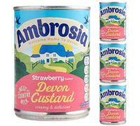 4 x 400g Devon Custard Creamy Strawberry Fruit Flavour Butter Milk Dessert Cake Topping Hot Cold Ready to Eat