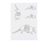4 x 'Armadillo on the Move' Temporary Tattoos - Water Resistant, Skin-Safe, Non-Toxic Transfers, Mixed Sizes (TO00085226)