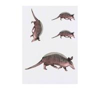 4 x 'Armadillo on the Move' Temporary Tattoos - Water Resistant, Skin-Safe, Non-Toxic Transfers, Mixed Sizes (TO00085228)