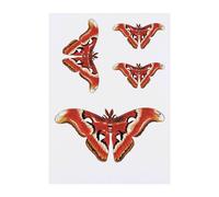 4 x 'Atlas Silk Moth' Temporary Tattoos - Water Resistant, Skin-Safe, Non-Toxic Transfers, Mixed Sizes (TO00065226)