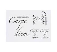 4 x 'Carpe Diem Seize the Day Latin Quote Poem Poetry' Temporary Tattoos - Water Resistant, Skin-Safe, Non-Toxic Transfers, Mixed Sizes (TO00061122)