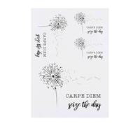 4 x 'Carpe Diem: Seize The Day' Temporary Tattoos - Water Resistant, Skin-Safe, Non-Toxic Transfers, Mixed Sizes (TO00084024)
