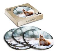 4 x Eco Boxed Cork Coasters - Adorable Red Squirrel Animals Pets Drink Cup Mug Glass Table Mat #8491