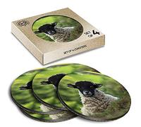 4 x Eco Boxed Cork Coasters - Black Headed Sheep Farm Drink Cup Mug Glass Table Mat #16954