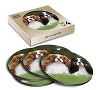 4 x Eco Boxed Cork Coasters - Cavalier King Charles Spaniel Dog Drink Cup Mug Glass Table Mat #15816
