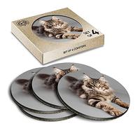 4 x Eco Boxed Cork Coasters - Cute Maine Coon Cat Drink Cup Mug Glass Table Mat #15678