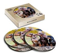 4 x Eco Boxed Cork Coasters - Dachshund Trio Dogs Puppies Drink Cup Mug Glass Table Mat #44830