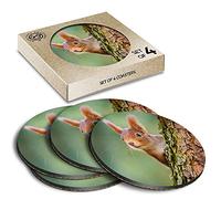 4 x Eco Boxed Cork Coasters - Little Red Squirrel Woods Forrest Drink Cup Mug Glass Table Mat #16883