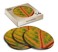 4 x Eco Boxed Cork Coasters - Orange Green Leaf Macro Image Drink Cup Mug Glass Table Mat #45940