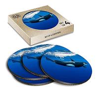 4 x Eco Boxed Cork Coasters - Orca Killer Whale Underwater Drink Cup Mug Glass Table Mat #2006