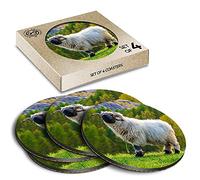 4 x Eco Boxed Cork Coasters - Swiss Alps Valais Blacknose Sheep Drink Cup Mug Glass Table Mat #46345