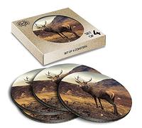 4 x Eco Boxed Cork Coasters - Wild Stag Deer Glencoe Scotland Drink Cup Mug Glass Table Mat #15823