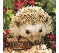 4 x Paper Napkins - Hedgehog - Ideal For Decoupage / Napkin Art
