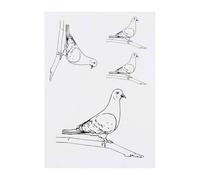 4 x 'Pigeon on a Branch' Temporary Tattoos - Water Resistant, Skin-Safe, Non-Toxic Transfers, Mixed Sizes (TO00074864)