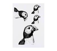 4 x 'Puffin Bird Portrait' Temporary Tattoos - Water Resistant, Skin-Safe, Non-Toxic Transfers, Mixed Sizes (TO00077272)