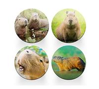 4 x Round Capybara Coasters - Animals Wild Boys Kids Set Theme House Warming Circle Drinks Kitchen Decoration Décor Gift #80189