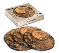 4 x Round Coasters - Ammonite Fossils Archeology History Cork Backed MDF Glossy Tea Coffee Accessory #50088