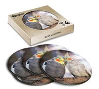 4 x Round Coasters - Cute Cockatiel Parrot Bird Love Couple Cork Backed MDF Glossy Tea Coffee Accessory #50656