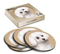 4 x Round Coasters - Cute Maltese Dog Puppy Dogs Cork Backed MDF Glossy Tea Coffee Accessory #50675