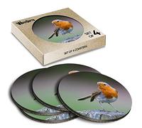 4 x Round Coasters - Garden Bird European Robin England Cork Backed MDF Glossy Tea Coffee Accessory #50995