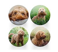 4 x Round Cockapoo Coasters - Golden Dogs Pet Poodle Set Theme Women House Warming Circle Drinks Kitchen Table Decoration Décor Gift #80149