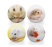 4 x Round Hamster Coasters - Animals Rodent Pets Set Theme Women House Warming Circle Drinks Kitchen Table Decoration Décor Gift #80156
