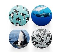 4 x Round Orca Whale Coasters - Pattern Animal Sea Men Women Set Theme House Warming Circle Drinks Kitchen Decoration Décor Gift #80195