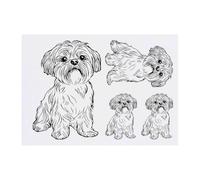 4 x 'Shih Tzu Dog Sitting' Temporary Tattoos - Water Resistant, Skin-Safe, Non-Toxic Transfers, Mixed Sizes (TO00080894)