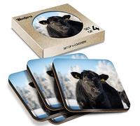 4 x Square Coasters - Black Aberdeen Angus Cow Cork Backed MDF Glossy Tea Coffee Accessory #50267