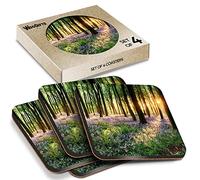 4 x Square Coasters - Bluebell Forest Flowers Woods Cork Backed MDF Glossy Tea Coffee Accessory #50346