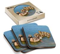 4 x Square Coasters - Mallard Duck & Ducklings Baby Bird Cute Cork Backed MDF Glossy Tea Coffee Accessory #51406