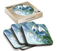 4 x Square Coasters - Spring Snowdrop Flowers Cork Backed MDF Glossy Tea Coffee Accessory #52119