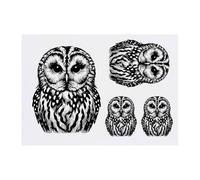 4 x 'Tawny Owl' Temporary Tattoos - Water Resistant, Skin-Safe, Non-Toxic Transfers, Mixed Sizes (TO00080232)