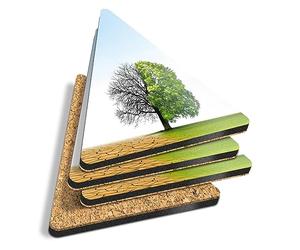 4 x Triangle Coasters - Climate Change Tree Desert Dry Green Cork Backed MDF Glossy Tea Coffee Accessory #52719