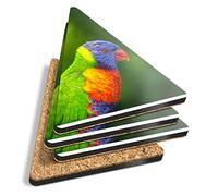 4 x Triangle Coasters - Rainbow Lorikeet Tropical Parrot Bird Cork Backed MDF Glossy Tea Coffee Accessory #16201