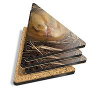 4 x Triangle Coasters - Sleeping Dormouse Cute Mouse Wild Nature Cork Backed MDF Glossy Tea Coffee Accessory #53423