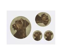 4 x 'Vintage Irish Wolfhound Portrait' Temporary Tattoos - Water Resistant, Skin-Safe, Non-Toxic Transfers, Mixed Sizes (TO00080828)