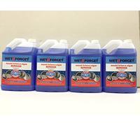 4 X Wet and Forget 10587 1 Gallon Moss, Mold and Mildew Stain Remover by Wet and Forget
