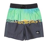(4 Yrs, Summer Green Wordblock) Quiksilver Mens Everyday Straight Volley