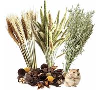 40-50 PCS Natural Hamster Bedding, Flowers & Herbs & Sprays for Cage Habitat Décor, Treat Cereal Grain for Dwarf Syrian Gerbils, Mice, Rat, Forage, Enrichment (A)