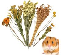40-50 PCS Natural Hamster Bedding, Flowers & Herbs & Sprays for Cage Habitat Décor, Treat Cereal Grain for Dwarf Syrian Gerbils, Mice, Rat, Forage, Enrichment (D)