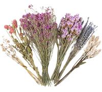 40-50 PCS Natural Hamster Bedding, Flowers & Herbs & Sprays for Cage Habitat Décor, Treat Cereal Grain for Dwarf Syrian Gerbils, Mice, Rat, Forage, Enrichment (E)