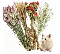 40-50 PCS Natural Hamster Bedding, Flowers & Herbs & Sprays for Cage Habitat Décor, Treat Cereal Grain for Dwarf Syrian Gerbils, Mice, Rat, Forage, Enrichment (C)